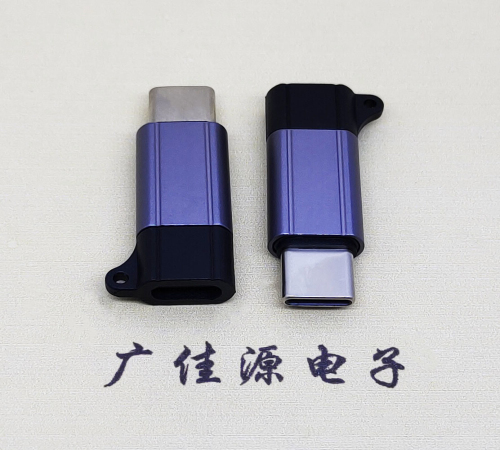 德州Type-C母转Type-C公 USB3.1 PD100W快冲接口